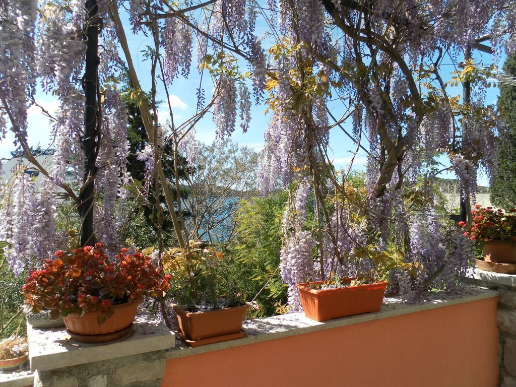 Apartment Pepi *